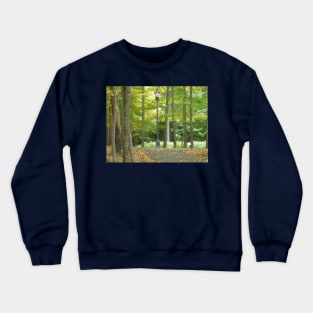 Lamppost Crewneck Sweatshirt